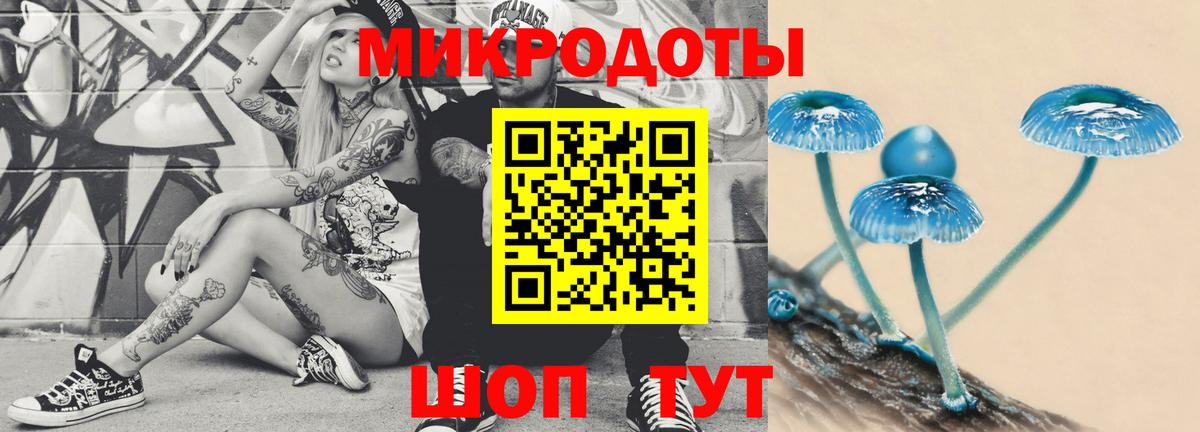 Галлюциногенные грибы мицелий Обнинск