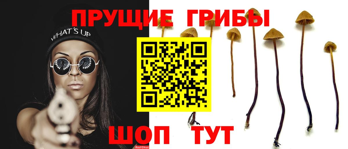 Галлюциногенные грибы Psilocybine cubensis  Вход с VPN  Обнинск 
